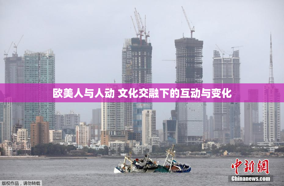 欧美人与人动 文化交融下的互动与变化