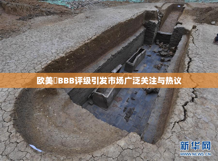 欧美槡BBB评级引发市场广泛关注与热议