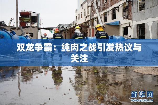 双龙争霸：纯肉之战引发热议与关注