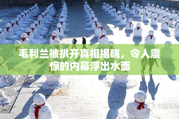 毛利兰被扒开真相揭晓，令人震惊的内幕浮出水面