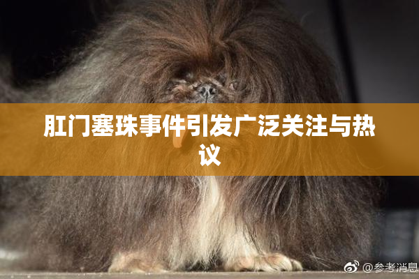 肛门塞珠事件引发广泛关注与热议