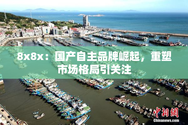 8x8x：国产自主品牌崛起，重塑市场格局引关注