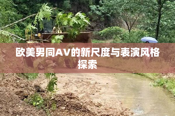 欧美男同AV的新尺度与表演风格探索