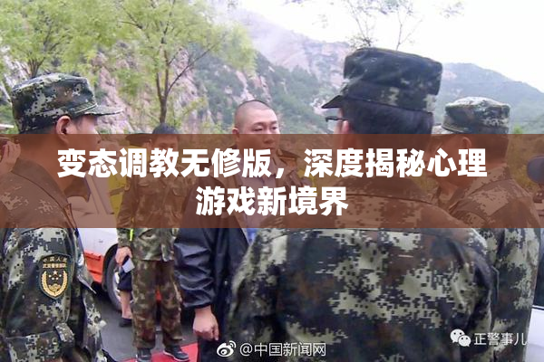 变态调教无修版，深度揭秘心理游戏新境界