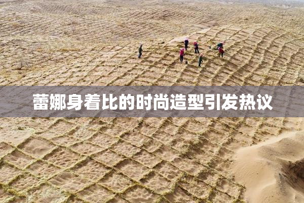 蕾娜身着比的时尚造型引发热议