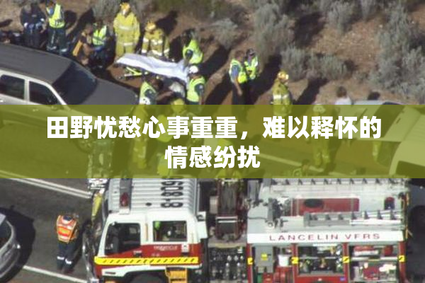 田野忧愁心事重重，难以释怀的情感纷扰
