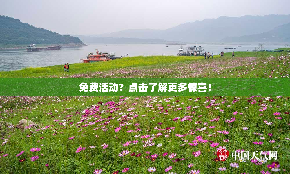 免费活动？点击了解更多惊喜！