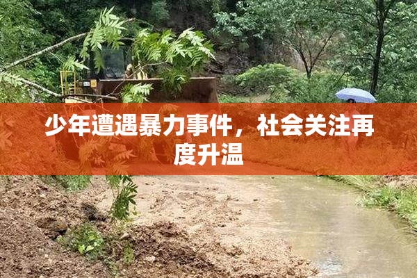 少年遭遇暴力事件，社会关注再度升温