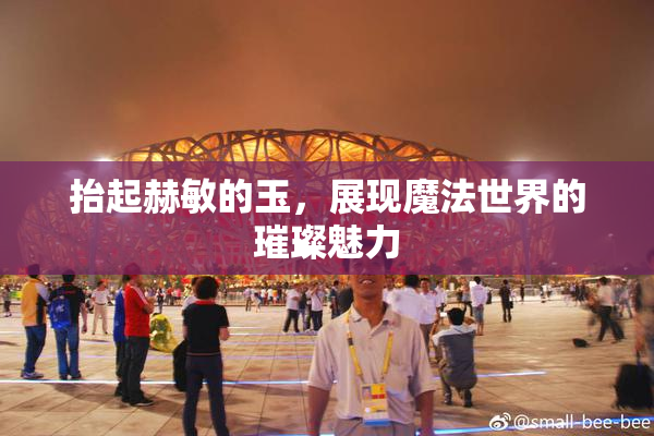 抬起赫敏的玉，展现魔法世界的璀璨魅力