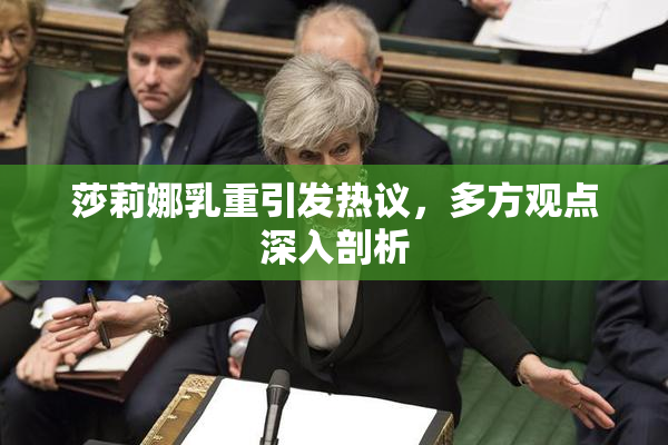 莎莉娜乳重引发热议，多方观点深入剖析
