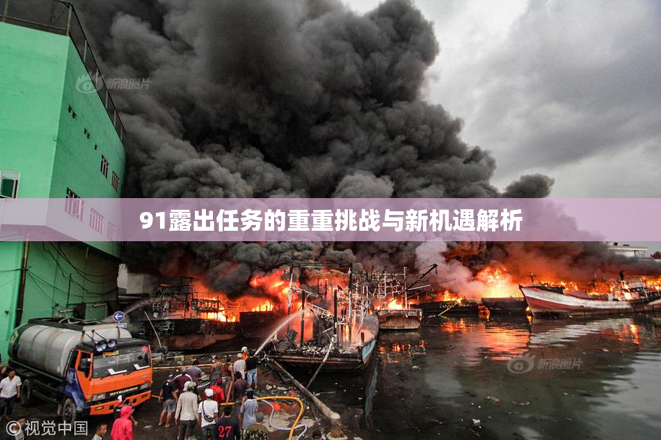 91露出任务的重重挑战与新机遇解析