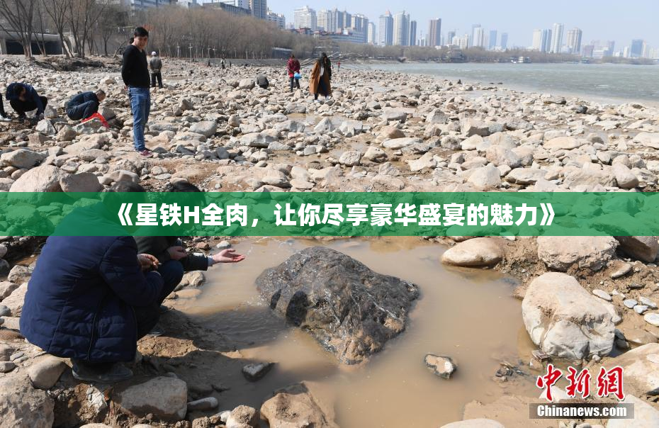 《星铁H全肉，让你尽享豪华盛宴的魅力》