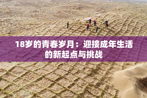 18岁的青春岁月：迎接成年生活的新起点与挑战