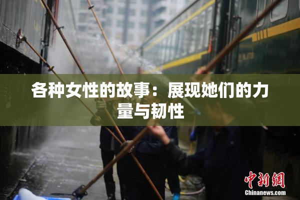 各种女性的故事：展现她们的力量与韧性
