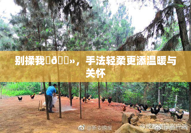 别揉我‌🐻，手法轻柔更添温暖与关怀