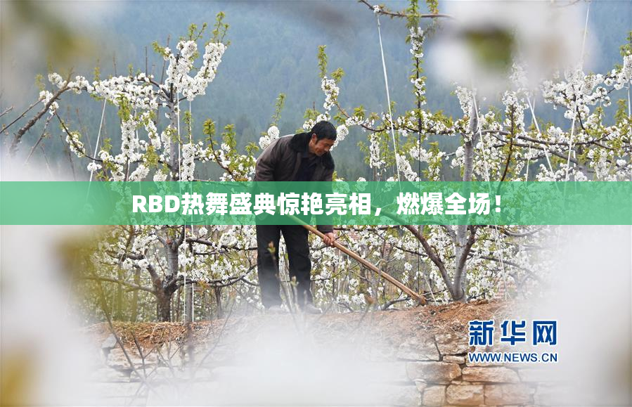 RBD热舞盛典惊艳亮相，燃爆全场！