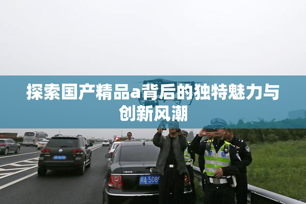 探索国产精品a背后的独特魅力与创新风潮