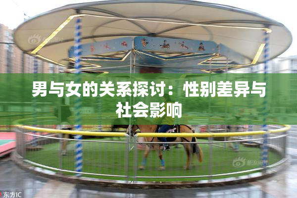 男与女的关系探讨：性别差异与社会影响