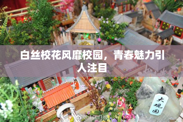白丝校花风靡校园，青春魅力引人注目