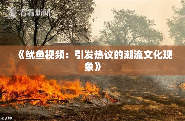 《鱿鱼视频：引发热议的潮流文化现象》