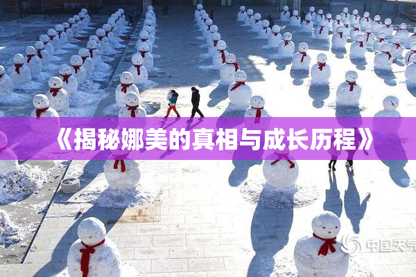 《揭秘娜美的真相与成长历程》