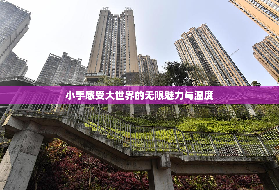 小手感受大世界的无限魅力与温度