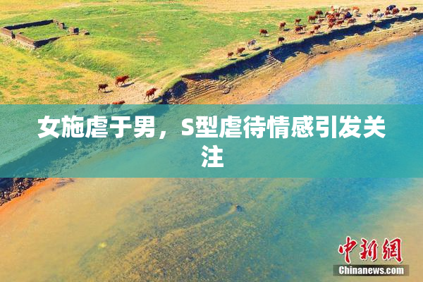 女施虐于男，S型虐待情感引发关注