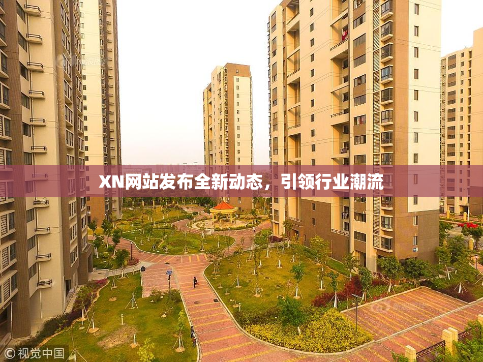 XN网站发布全新动态，引领行业潮流
