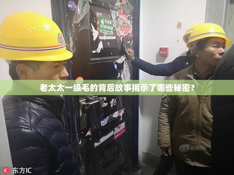 老太太一级毛的背后故事揭示了哪些秘密？