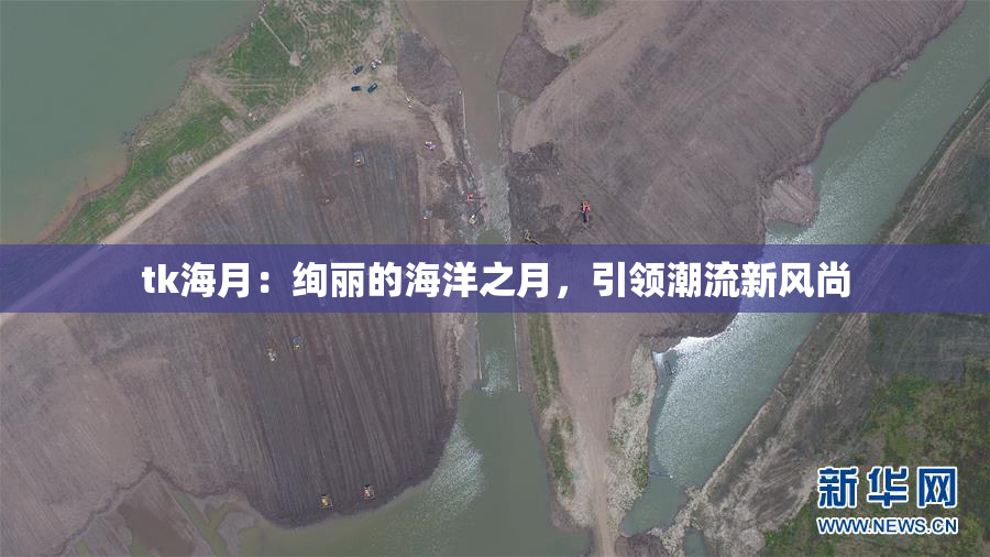 tk海月：绚丽的海洋之月，引领潮流新风尚