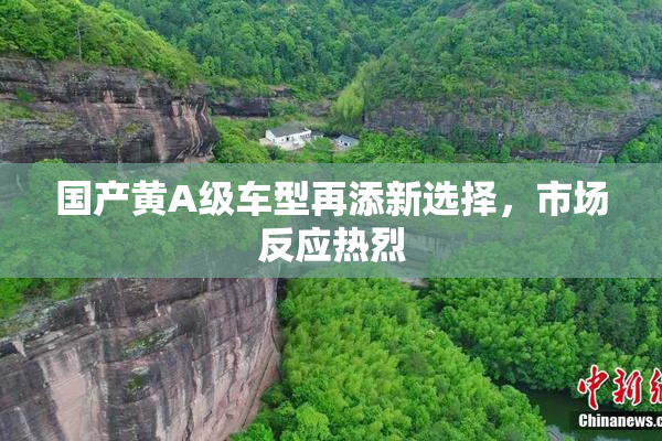 国产黄A级车型再添新选择，市场反应热烈