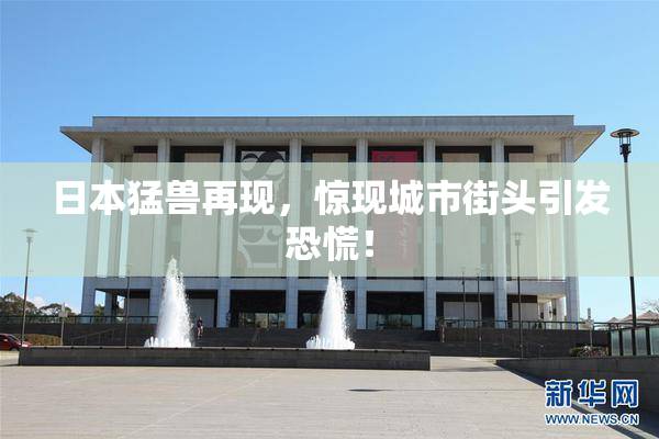 日本猛兽再现，惊现城市街头引发恐慌！