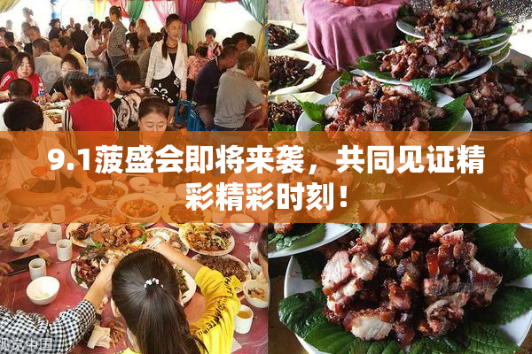 9.1菠盛会即将来袭，共同见证精彩精彩时刻！