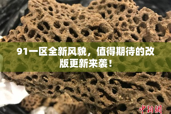 91一区全新风貌，值得期待的改版更新来袭！