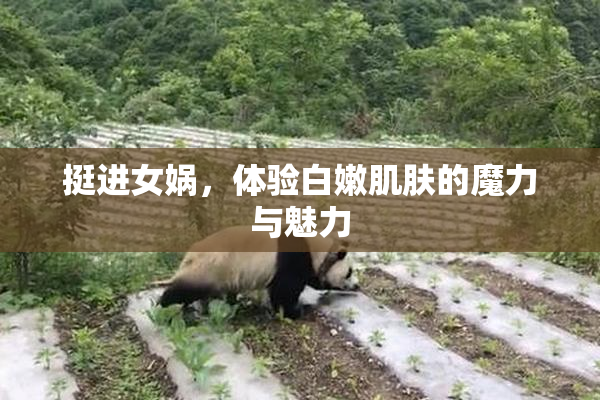 挺进女娲，体验白嫩肌肤的魔力与魅力