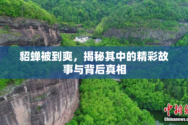 貂蝉被到爽，揭秘其中的精彩故事与背后真相