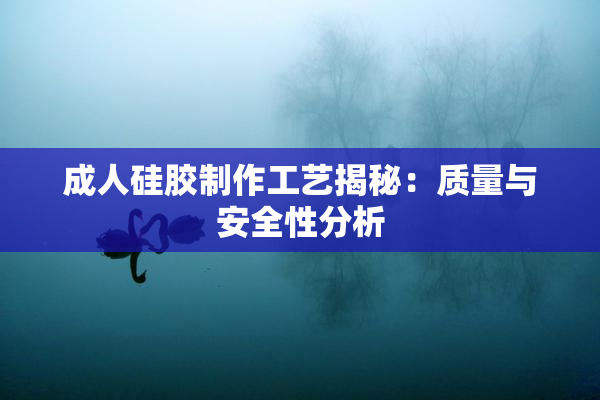 成人硅胶制作工艺揭秘：质量与安全性分析
