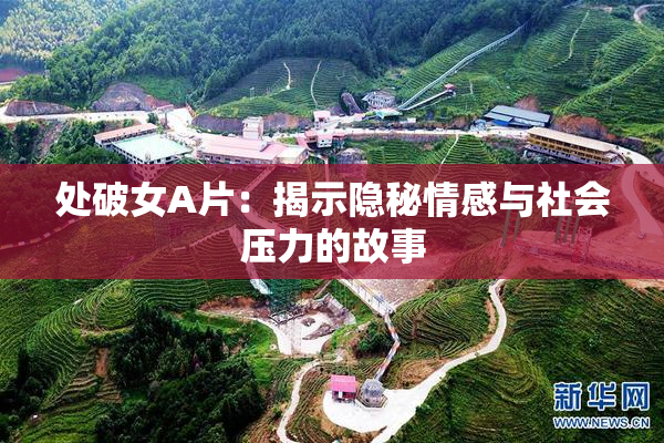 处破女A片：揭示隐秘情感与社会压力的故事