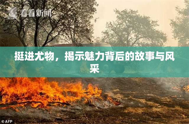 挺进尤物，揭示魅力背后的故事与风采