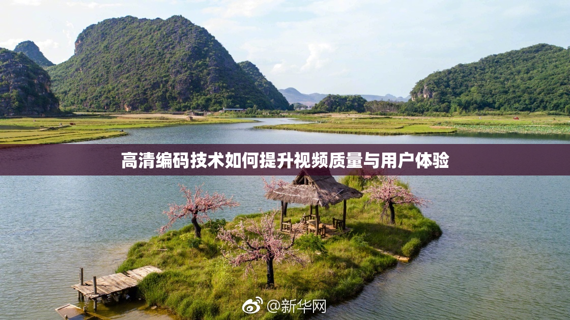高清编码技术如何提升视频质量与用户体验