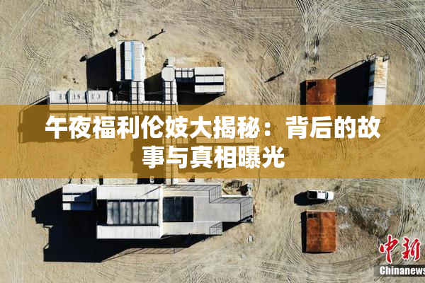 午夜福利伦妓大揭秘：背后的故事与真相曝光