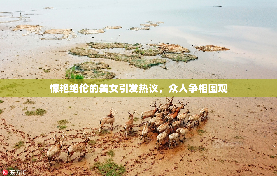惊艳绝伦的美女引发热议，众人争相围观