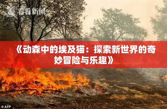 《动森中的埃及猫：探索新世界的奇妙冒险与乐趣》