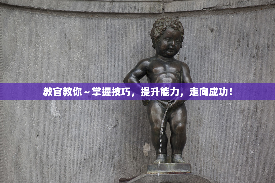 教官教你～掌握技巧，提升能力，走向成功！