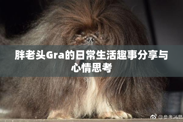 胖老头Gra的日常生活趣事分享与心情思考