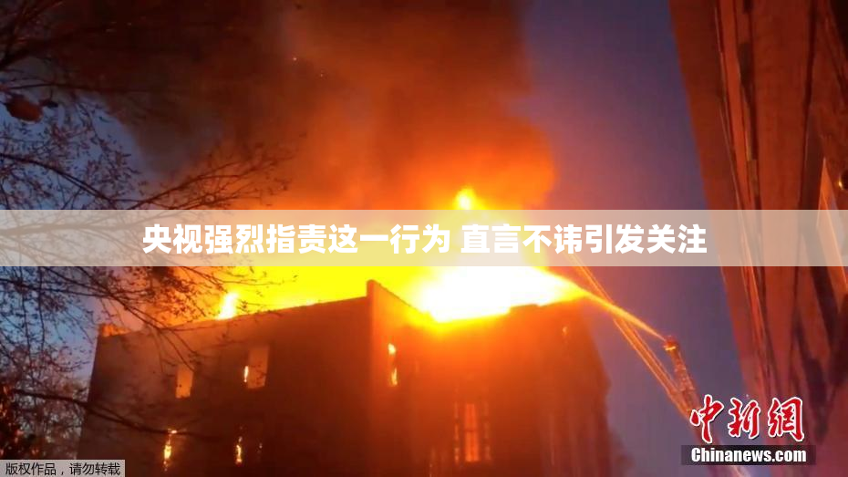 央视强烈指责这一行为 直言不讳引发关注