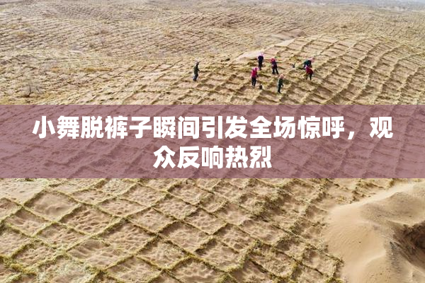 小舞脱裤子瞬间引发全场惊呼，观众反响热烈