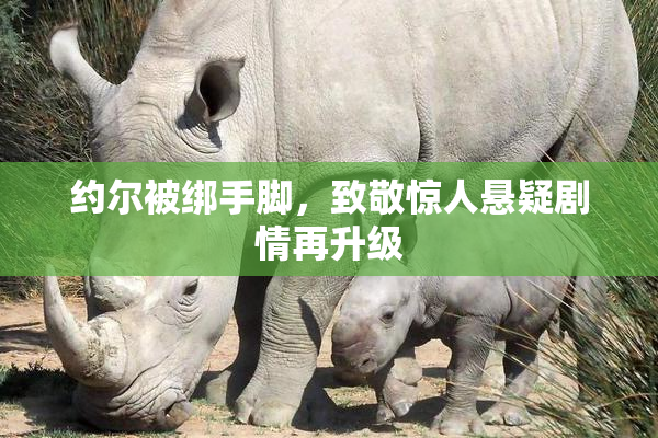 约尔被绑手脚，致敬惊人悬疑剧情再升级