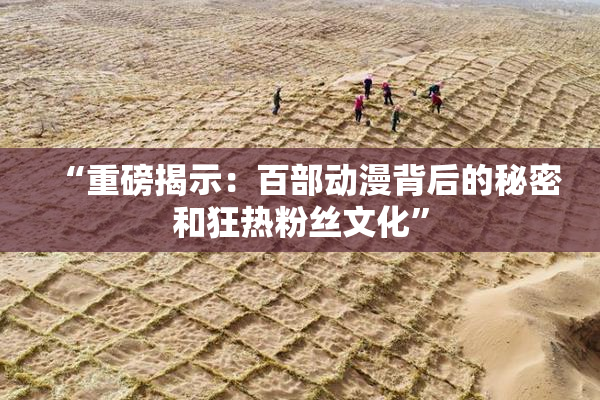 “重磅揭示：百部动漫背后的秘密和狂热粉丝文化”