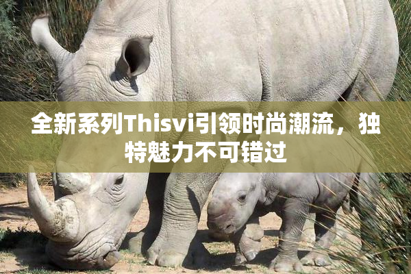 全新系列Thisvi引领时尚潮流，独特魅力不可错过